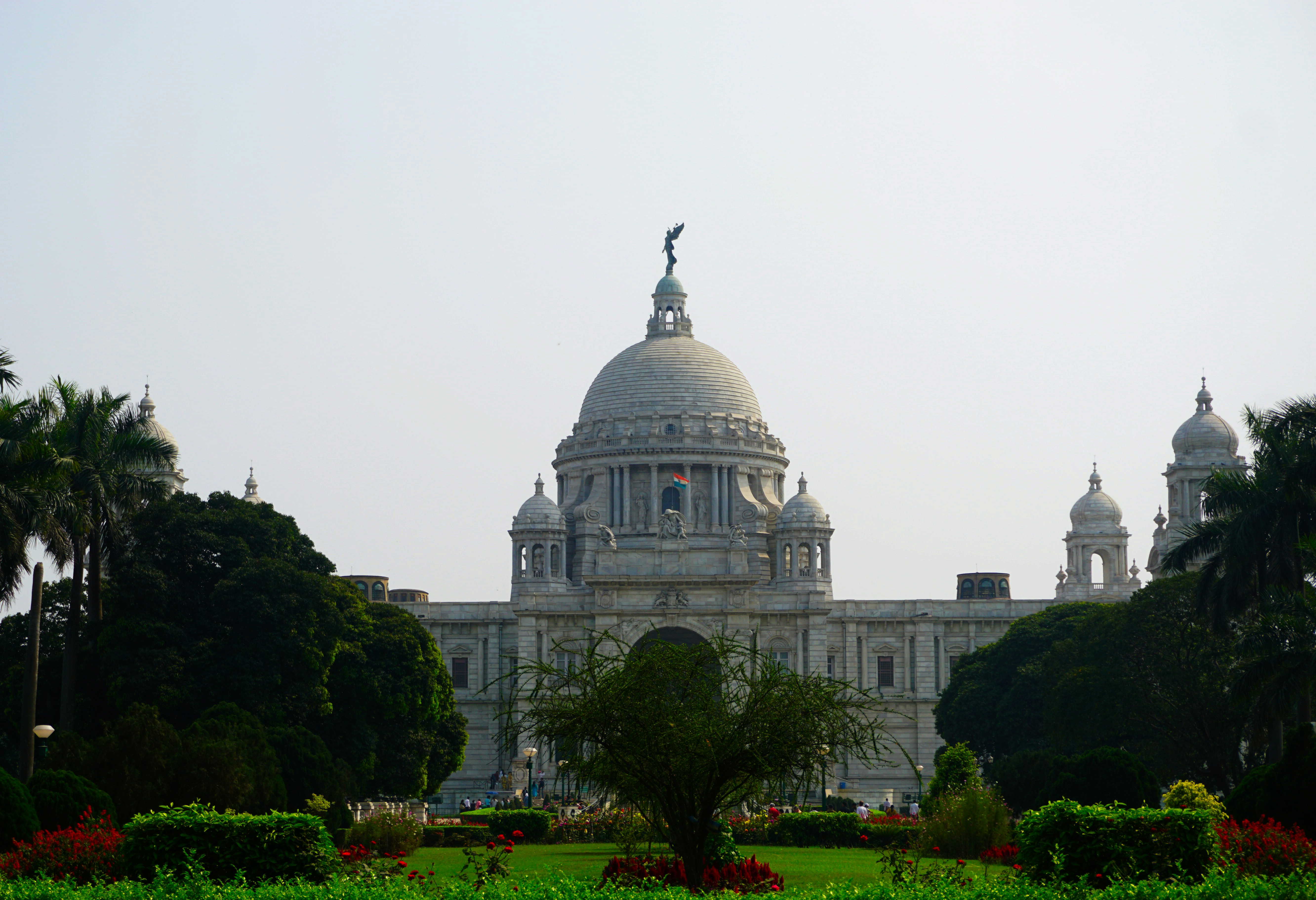 Government & Public Sector